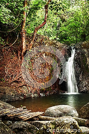 Tropical rain forest landscape with waterfall