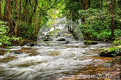 Tropical rainforest landscape with flowing river. Thailand