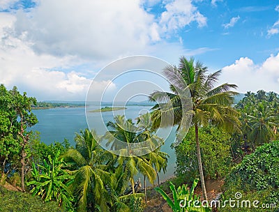 Tropical river and island in the middle of its. Goa.