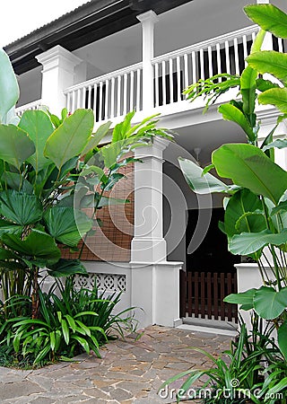 Tropical style house with lush garden