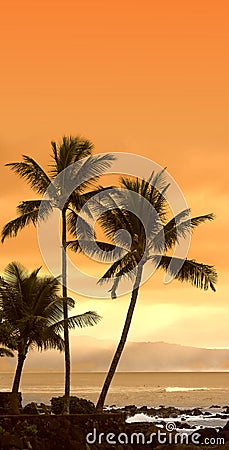 Tropical sunset (icon photo)