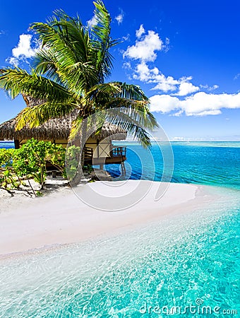 Tropical villa and palm tree next to blue lagoon