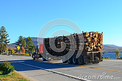 Tractor trailer truck hauling logs