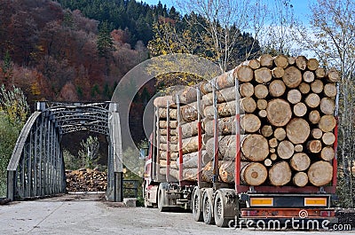 Truck hauling logs