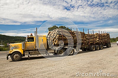 Truck transporting Wood.