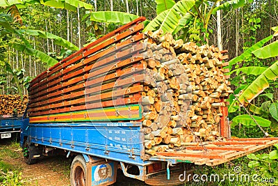 Truck wood Eucalyptus