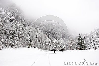 Truemmelbach Falls - Winter
