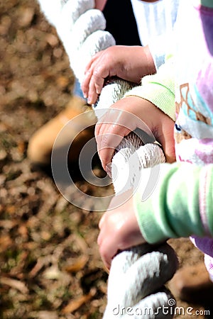 Trusting hands on a rope