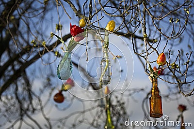 Tulip tree