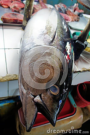 Tuna fish for sale