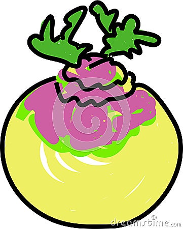 Turnip Royalty Free Stock Photography - Image: 2086407