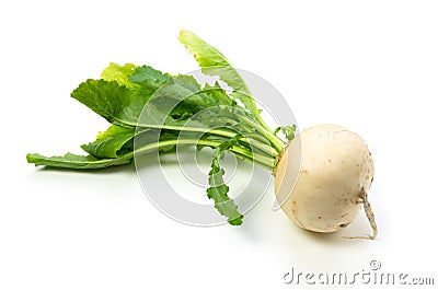 Turnip Royalty Free Stock Image - Image: 2500