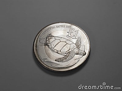 Turtle on coin