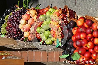 Tuscan Fruit