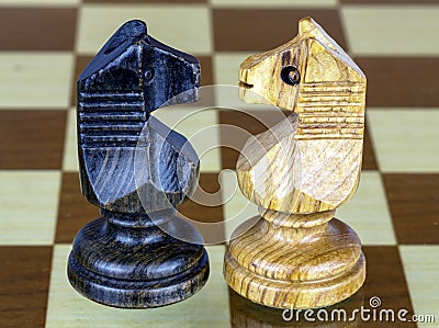 Two chess horse faced