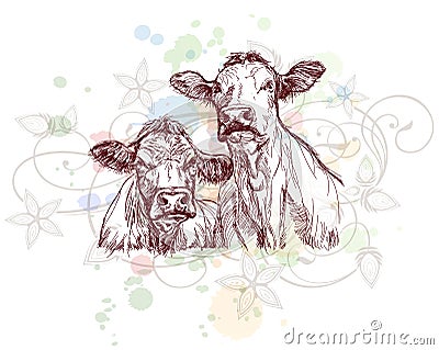 Two cows hand draw sketch & floral ornament