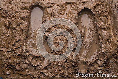 Two Footprints On Wet Mud Royalty Free Stock