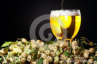 Two glasses of beer with hop