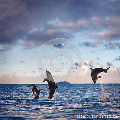 Two leaping dolphins playing with girl in sea