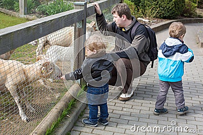 Two little boys and father feeding animals in zoo