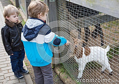 Two little boys feeding animals in zoo