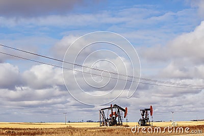 Two oil drills on farmland