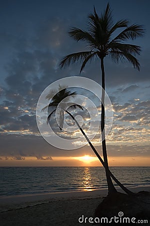 Sunrise On The Beach With Palm Trees