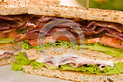 Two sandwich beautiful close-up shoot
