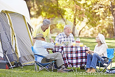Two Senior Couples Enjoying Camping Holiday