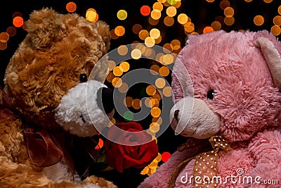 Two Teddie bear with white with red rose sitting