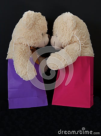 Two teddy bears in gift bags