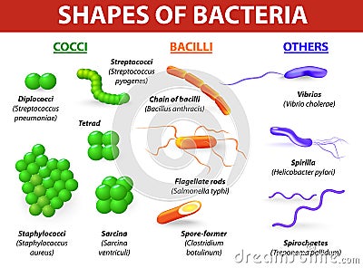 microbiology and daily human life They gave life to humans and continue to give us life each and every day as two microbiologists working at a medical school, we know full. microbiology and daily human life They gave life to humans and continue to give us life each and every day as two microbiologists working at a medical school, we know full.