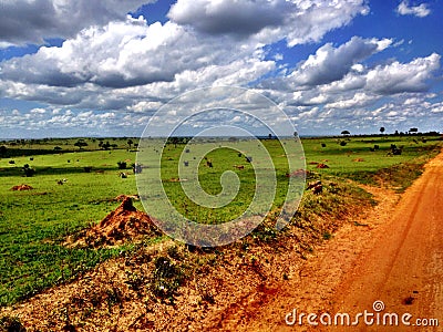 Uganda safari dirt road