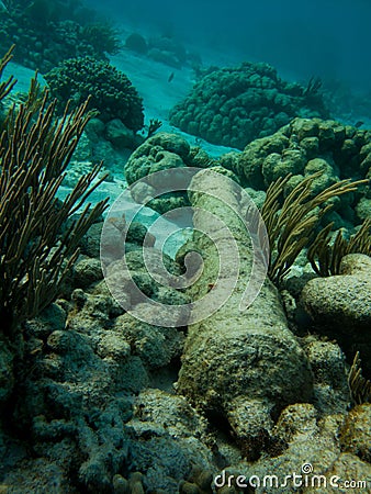 Underwater divers view of old cannon from a ship on the floor of the coral reef