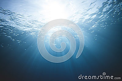 Underwater Light Scene