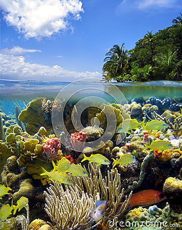 Underwater scene with sky and island