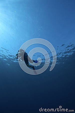 Underwater scene : surfacing scuba diver