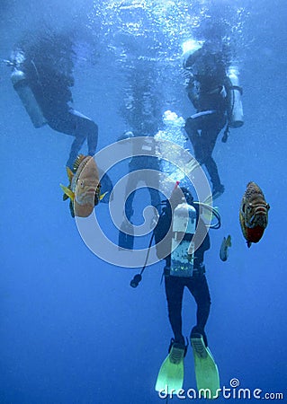 Underwater Sentinals - Scuba Class