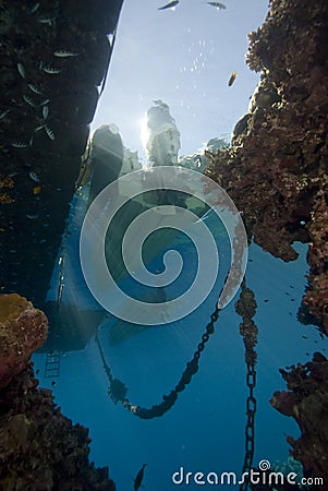 Underwater view of a speed boat