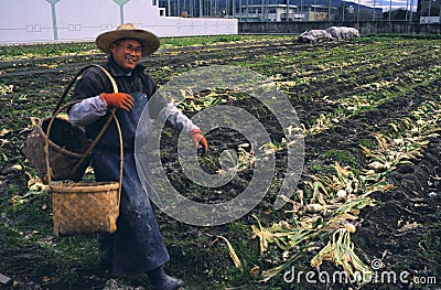 Urban Gardening in Japan