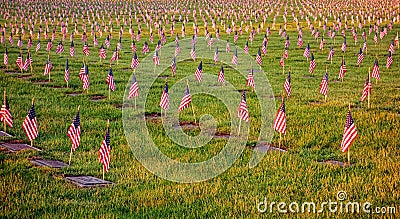 US American Flags on Graves in Veterans Cemetery