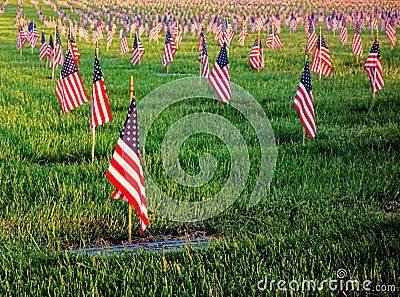 US American Flags Honoring Veterans Cemetery Grave