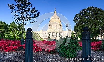 US Capitol Building with Azaleas