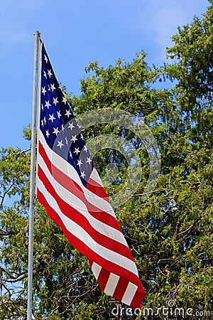 US FLAG MEMORIAL DAY