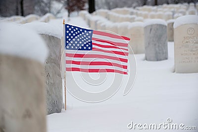 US flag on veteran grave