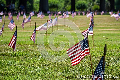 Us flags in a veterans cemetery on Veterans day