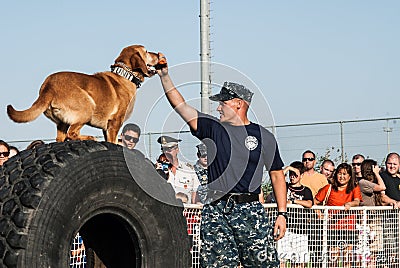 Us navy sailor and dog training