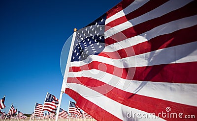 USA Flag display commemorating national holiday