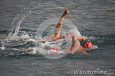 Valencia Port Swim