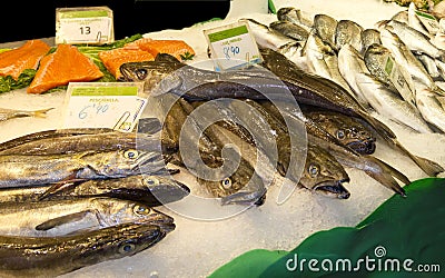 Variety of fresh fish in the market